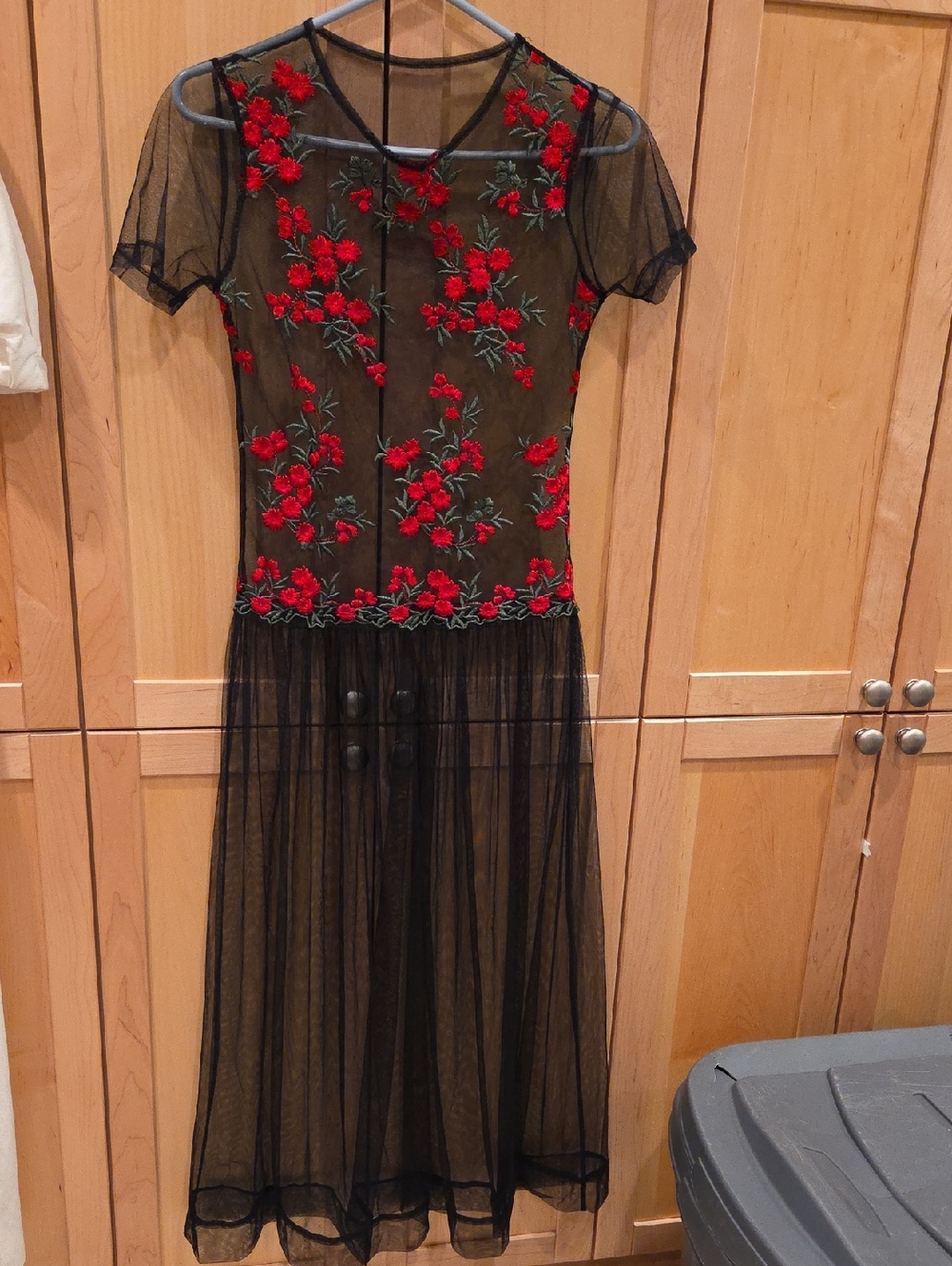Sheer Black Mesh Dress with Red Floral Embroidery